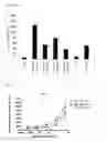 Fig. 26 - Anti-tumour response to modified self-epitopes