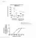 Fig. 30 - Anti-tumour response to modified self-epitopes