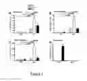Fig. 02 - REGULATING IL-4 AND IL-13 LEVELS BY BLOCKING HIGH AFFINITY BINDING BY IL-3, IL-5 AND GM-CSF TO THEIR COMMON RECEPTOR