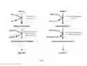 Fig. 02 - STRAINS AND METHODS FOR PLASMID MAINTENANCE