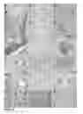 Fig. 16 - Method for isolation and purification of epithelial stem cells from skin