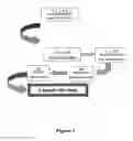 Fig. 08 - Methods of Constructing and Screening Diverse Expression Libraries