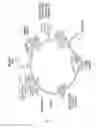 Fig. 07 - MIRNA MODULATORS OF CHRONIC VISCERAL INFLAMMATION