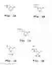Fig. 02 - Splice-region antisense composition and method