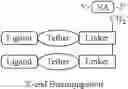 Fig. 136 - Methods and compositions for treating neurological disease
