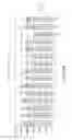 Fig. 43 - METHODS FOR MODULATING RNA USING 5' TARGETING OLIGONUCLEOTIDES
