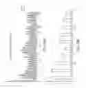 Fig. 69 - METHODS FOR MODULATING RNA USING 5' TARGETING OLIGONUCLEOTIDES