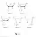 Fig. 02 - UNA duplex oligomers for therapeutics