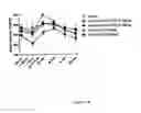 Fig. 33 - Glucagon Binding Nucleic Acids