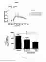 Fig. 40 - Glucagon Binding Nucleic Acids