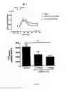 Fig. 41 - Glucagon Binding Nucleic Acids