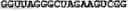 Fig. 15 - SDF-1 binding nucleic acids