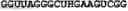 Fig. 18 - SDF-1 binding nucleic acids