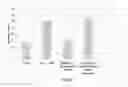 Fig. 40 - SDF-1 binding nucleic acids