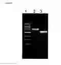 Fig. 33 - Methods for the improvement of product yield and production in a microorganism through the addition of alternate electron acceptors