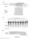 Fig. 08 - DELIVERY, USE AND THERAPEUTIC APPLICATIONS OF THE CRISPR-CAS SYSTEMS AND COMPOSITIONS FOR TARGETING DISORDERS AND DISEASES USING PARTICLE DELIVERY COMPONENTS
