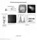 Fig. 79 - DELIVERY, USE AND THERAPEUTIC APPLICATIONS OF THE CRISPR-CAS SYSTEMS AND COMPOSITIONS FOR TARGETING DISORDERS AND DISEASES USING PARTICLE DELIVERY COMPONENTS