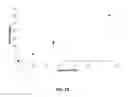 Fig. 20 - BIOSENSING SYSTEMS AND METHODS FOR ASSESSING ANALYTE CONCENTRATIONS