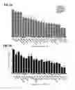 Fig. 02 - COMPOSITIONS AND METHODS FOR THE ANALYSIS OF RADIOSENSITIVITY
