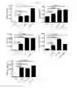 Fig. 09 - Extracellular vesicles derived from Gram-positive bacteria, and use thereof