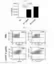 Fig. 22 - Extracellular vesicles derived from Gram-positive bacteria, and use thereof