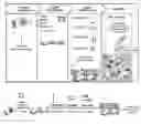 Fig. 01 - METHODS FOR DIAGNOSING IGG4-RELATED DISEASE