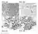 Fig. 07 - METHODS FOR DIAGNOSING IGG4-RELATED DISEASE