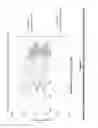 Fig. 08 - Sensitive Multiplex QPCR Assay For The Detection of Malaria