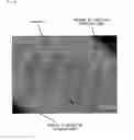Fig. 07 - Substrate for Producing Aligned Carbon Nanotube Aggregates and Method for Producing the Aligned Carbon Nanotube Aggregates