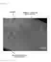 Fig. 09 - Substrate for Producing Aligned Carbon Nanotube Aggregates and Method for Producing the Aligned Carbon Nanotube Aggregates