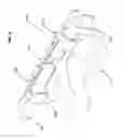 Fig. 08 - Sink and shower handle restraint