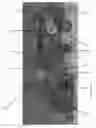 Fig. 09 - Retractable handle arrangement