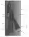 Fig. 08 - Retractable handle arrangement