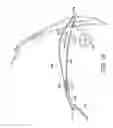 Fig. 11 - VERTICAL AXIS WIND TURBINE