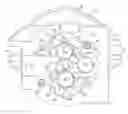 Fig. 01 - GEAR PUMP HAVING GROOVED MOUNTING ADAPTER