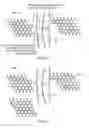 Fig. 06 - Graphene enhanced elastomeric stator