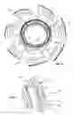 Fig. 05 - Impeller having balance compensation
