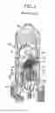 Fig. 02 - Apparatuses and methods for structurally replacing cracked welds in nuclear power plants
