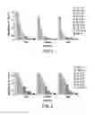 Fig. 02 - SIMPLIFIED EXTRACTION METHODS FOR THE RAPID DETERMINATION OF SPECIES CONTENT OF ADIPOSE TISSUE BASED ON THE DETECTION OF TNI IN IMMUNOASSAYS