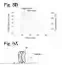 Fig. 07 - Flow channel module and chromatograph provided with the flow channel module