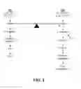 Fig. 02 - Substances, vaccines and methods for diagnosing and reducing incidences of transplant rejection