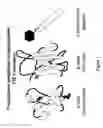 Fig. 02 - Detection of conformationally altered proteins