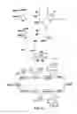 Fig. 02 - Kit and method for quantitative detection of steroids
