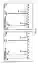 Fig. 04 - Kit and method for quantitative detection of steroids