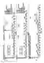 Fig. 14 - Kit and method for quantitative detection of steroids