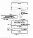 Fig. 21 - Kit and method for quantitative detection of steroids