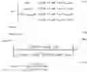 Fig. 74 - Methods and apparatus for detecting spoofing of global navigation satellite system signals using carrier phase measurements and known antenna motions