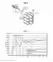 Fig. 06 - Systems and Methods for Optimizing Low Frequency Output from Airgun Source Arrays
