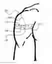 Fig. 01 - Upper-arm computer pointing apparatus