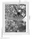 Fig. 11 - Device, method, and graphical user interface for selection of views in a three-dimensional map based on gesture inputs